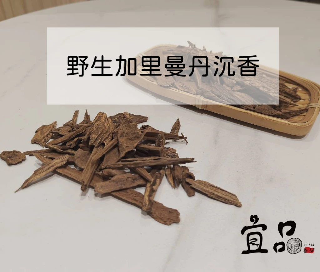 頂級星洲沉香系列《野生加里曼丹沉香》【宜品香舖】