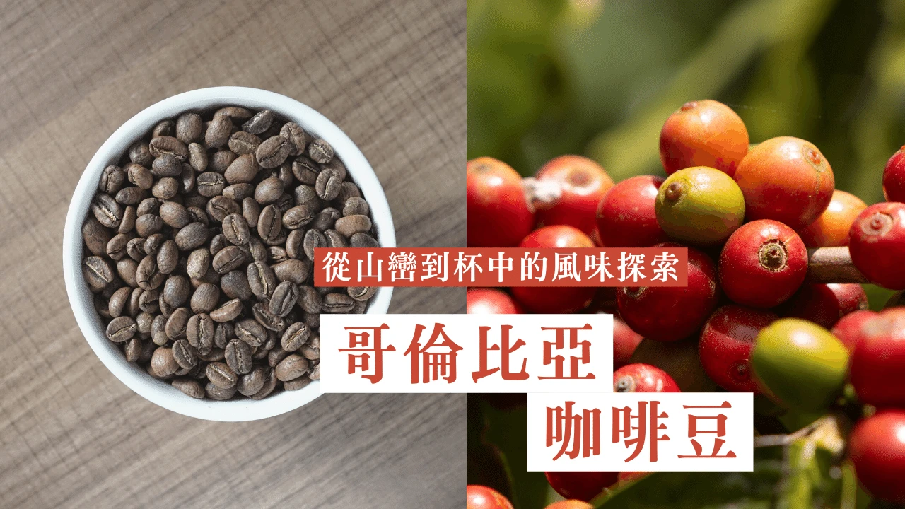 哥倫比亞的產區探索