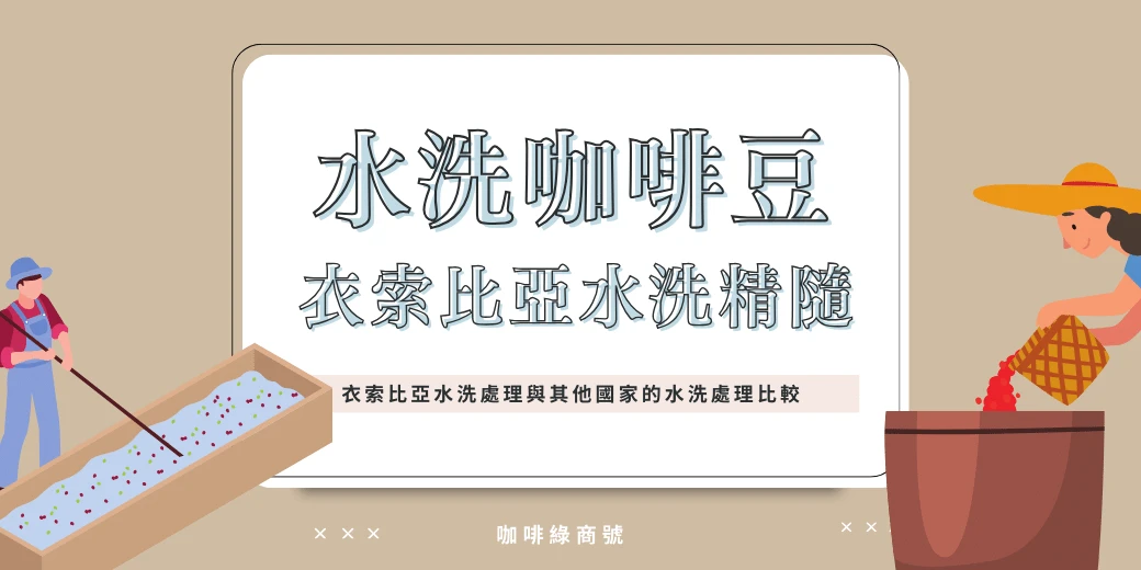 衣索比亞咖啡豆推薦_水洗