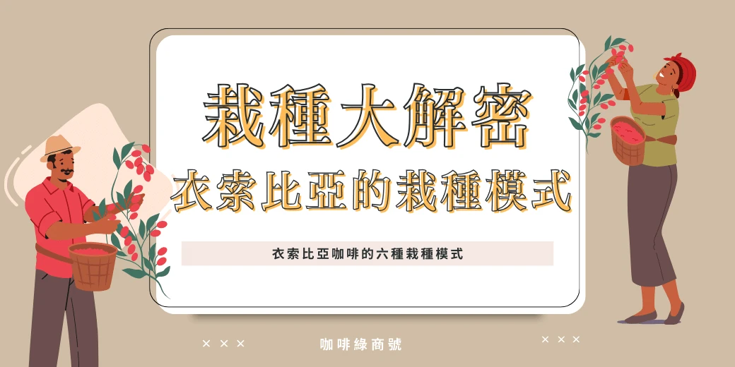 衣索比亞咖啡豆栽種祕密