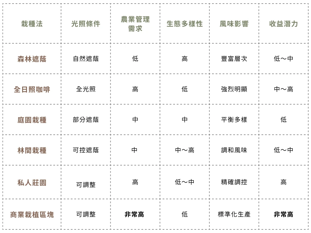 衣索比亞咖啡豆比較表