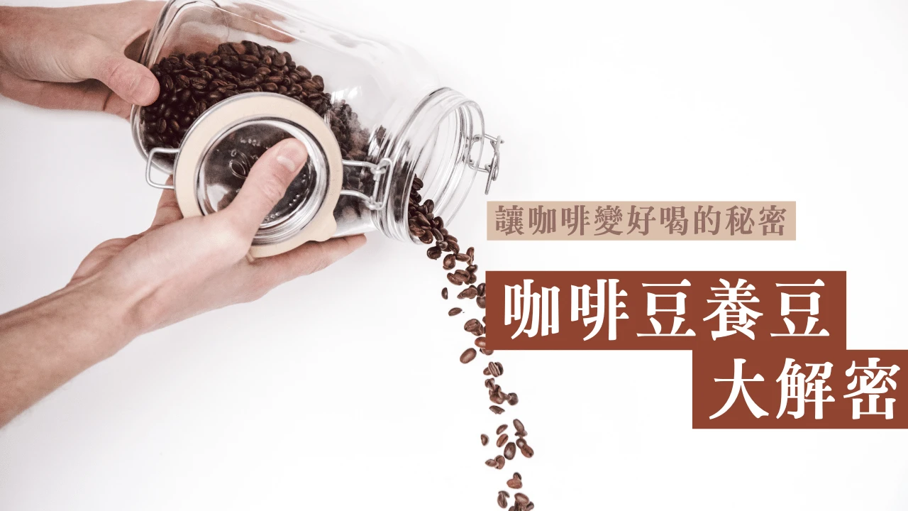 咖啡豆養豆秘訣01