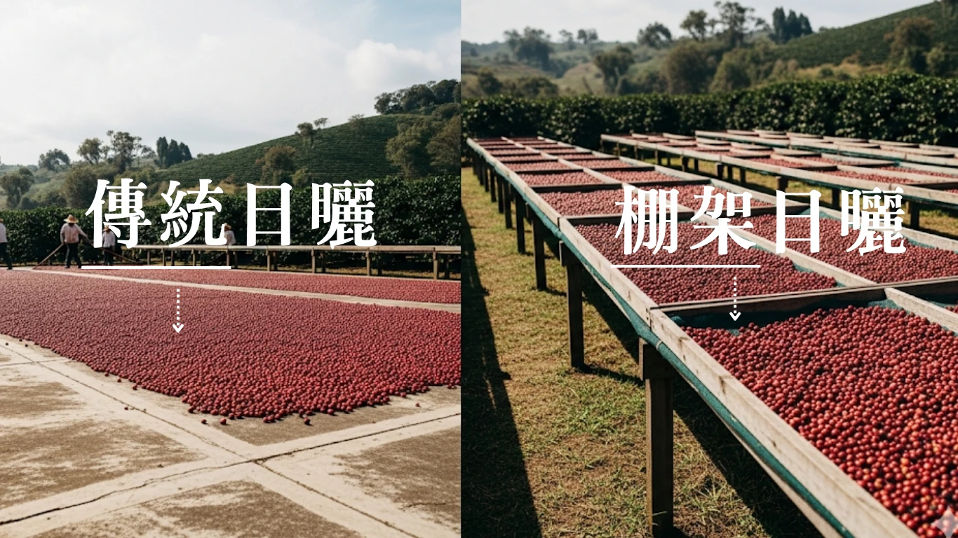 咖啡豆處理法全攻略：從日曬、水洗到厭氧，7大處理法風味完全解析 無毒、新鮮、咖啡綠