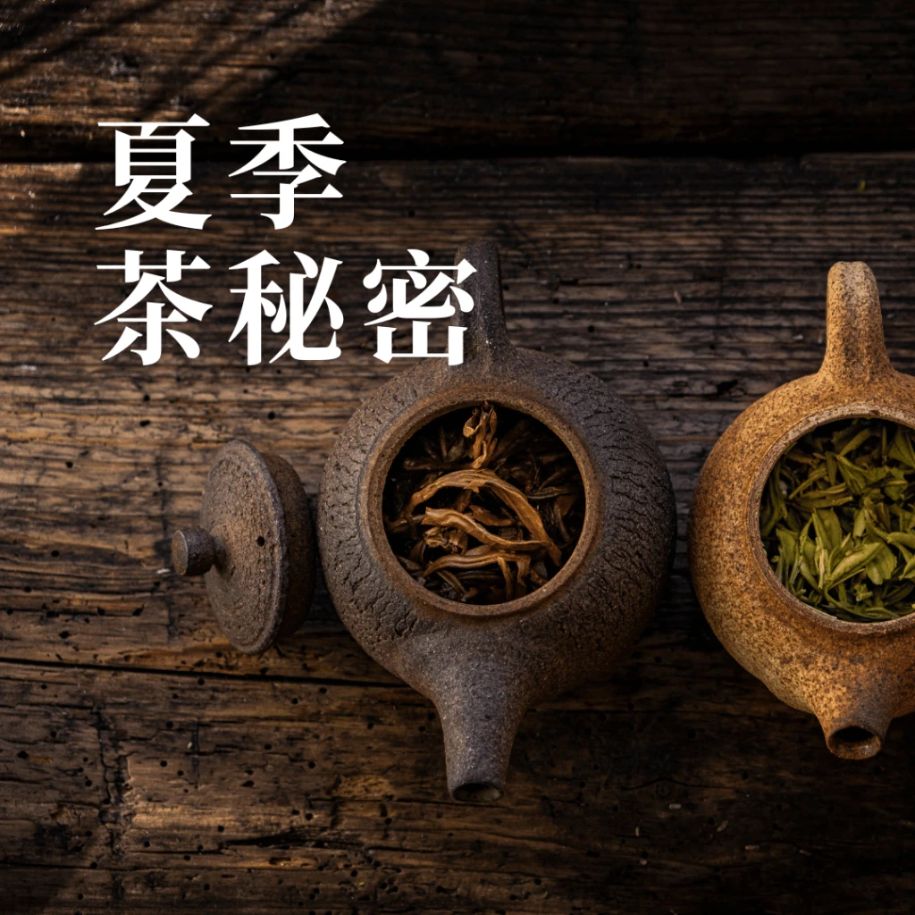 夏季茶秘密-冷萃咖啡冰火包 COLD BREW｜咖啡綠商號