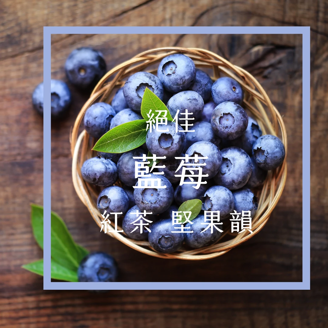熱風浸漬・藍莓浪潮 | 瓜地馬拉 薇薇特南果 伊西拉莊園 水洗