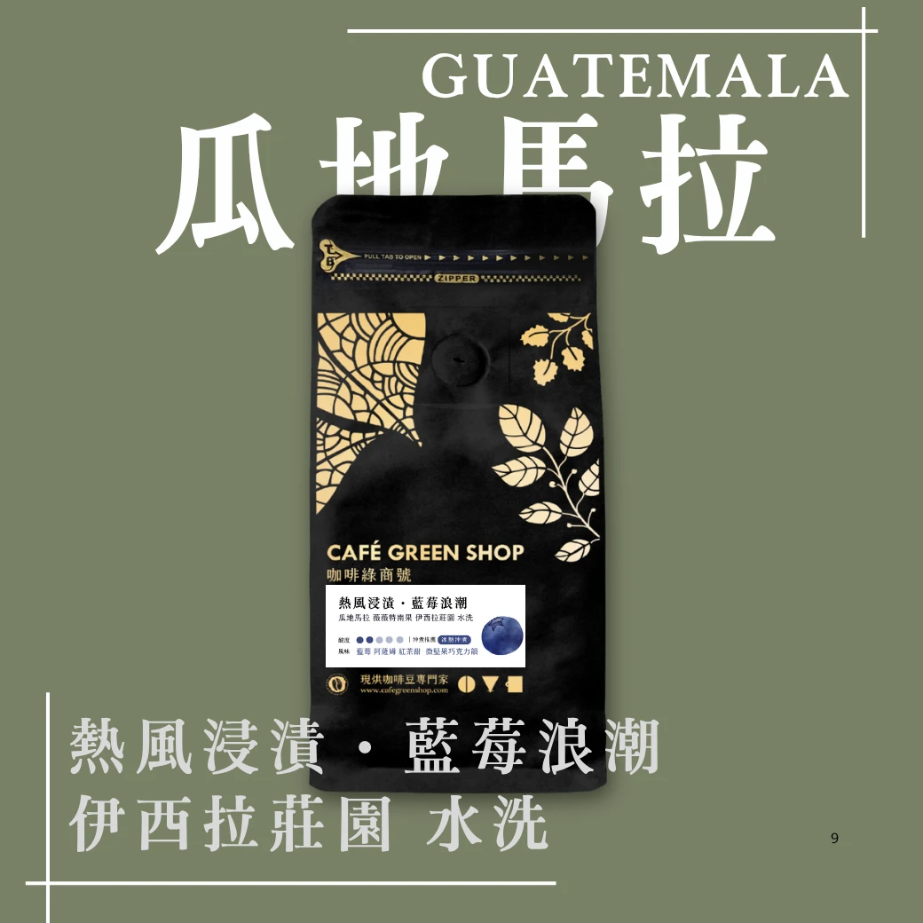 熱風浸漬・藍莓浪潮 | 瓜地馬拉 薇薇特南果 伊西拉莊園 水洗
