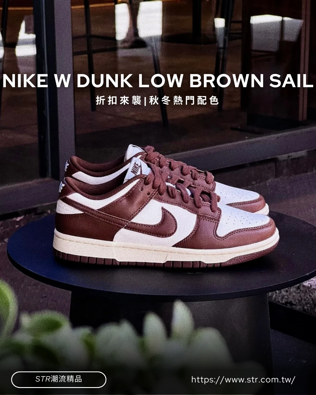 【現貨】Nike Dunk Low 摩卡可可 咖啡 女款 DD1503-124