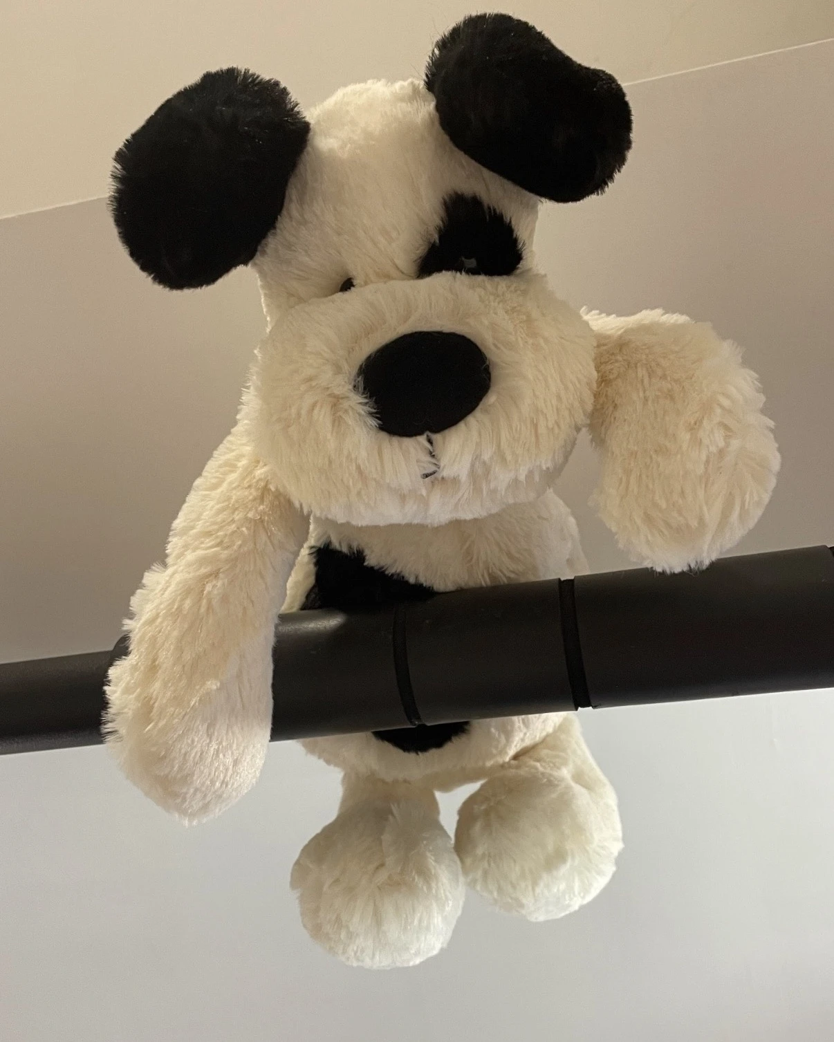 【預購】JELLYCAT海盜狗 大白狗 31cm