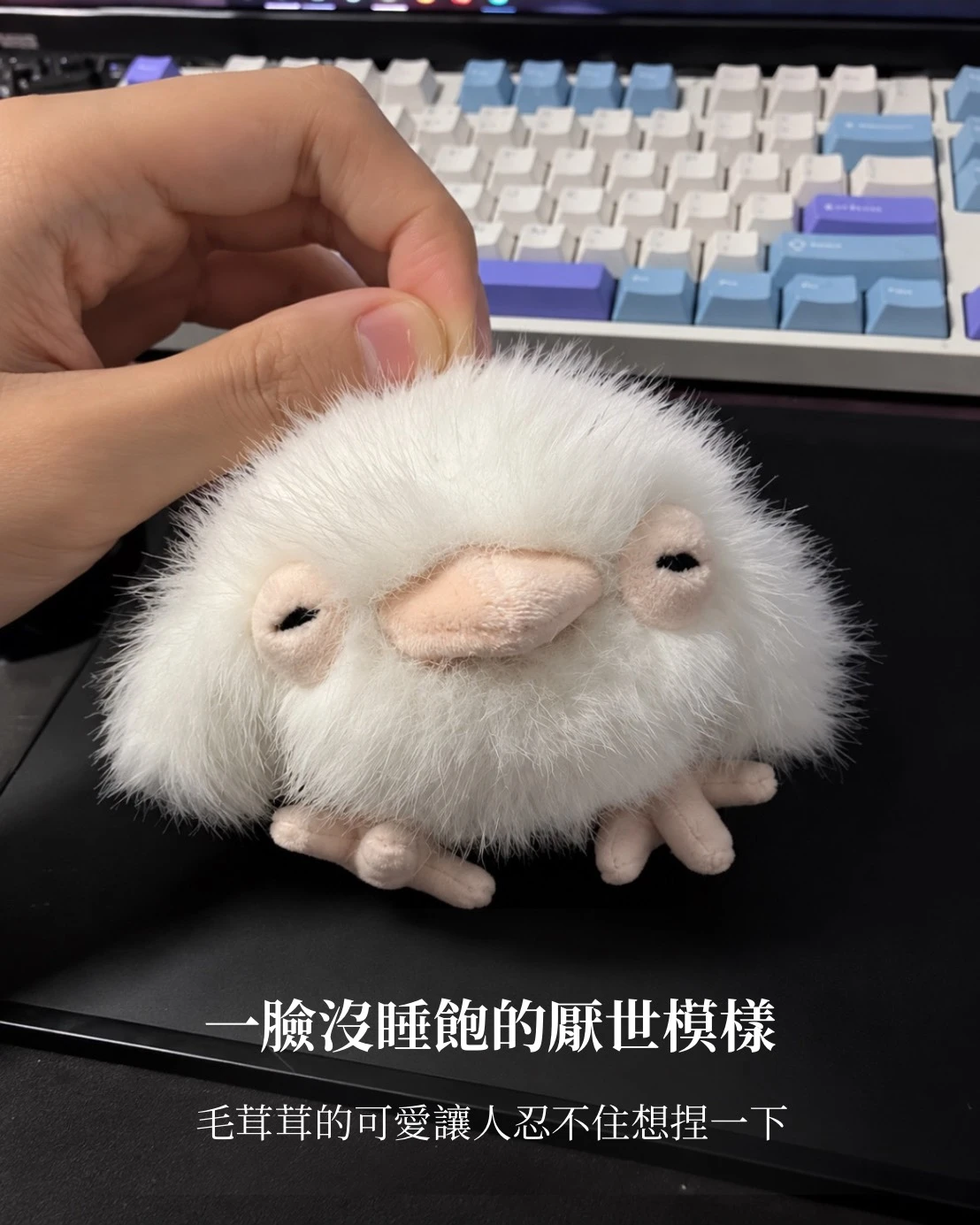 【預購】腫泡眼小雞