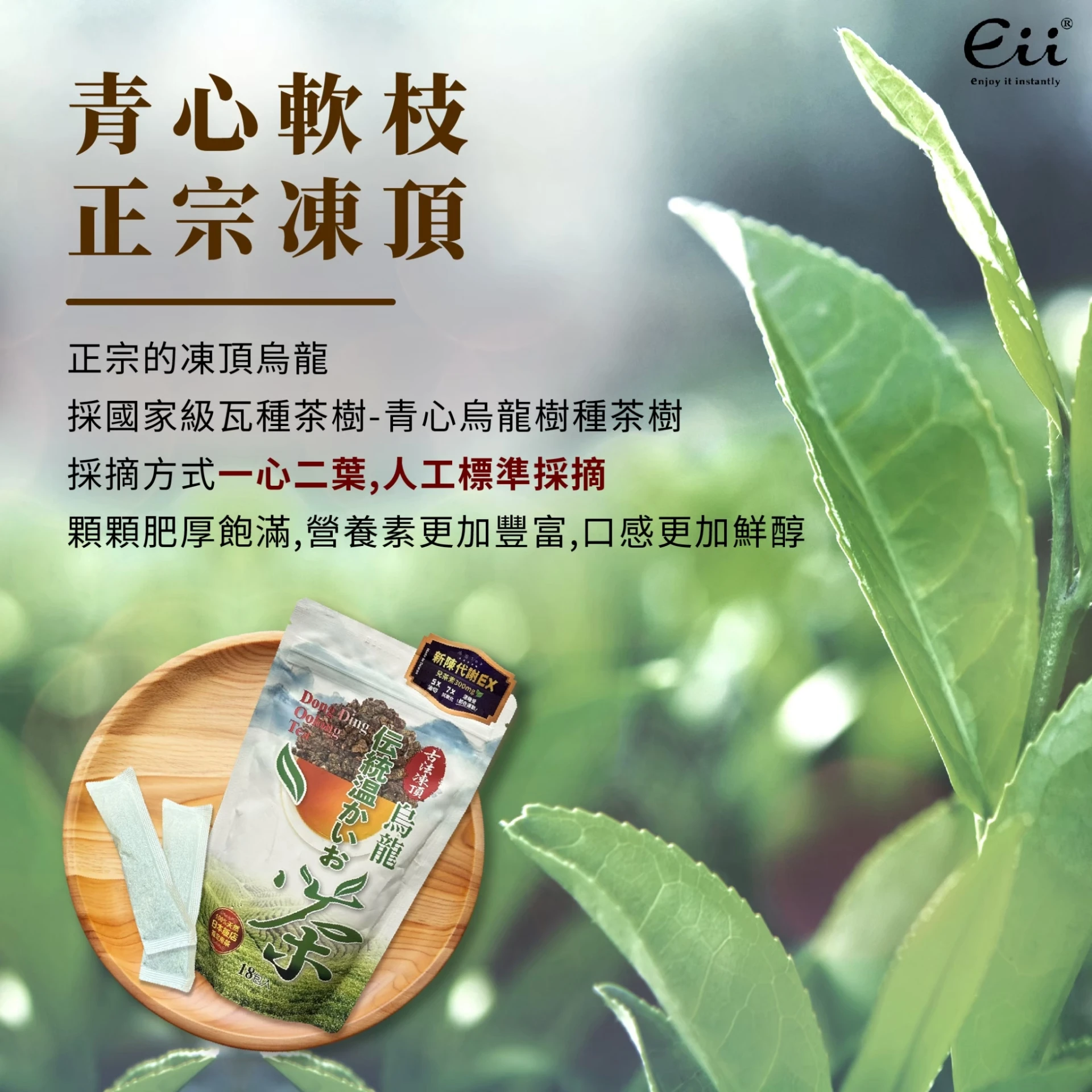 回回甘-古法凍頂冷泡熟茶-烏龍茶 (3g)18入/袋