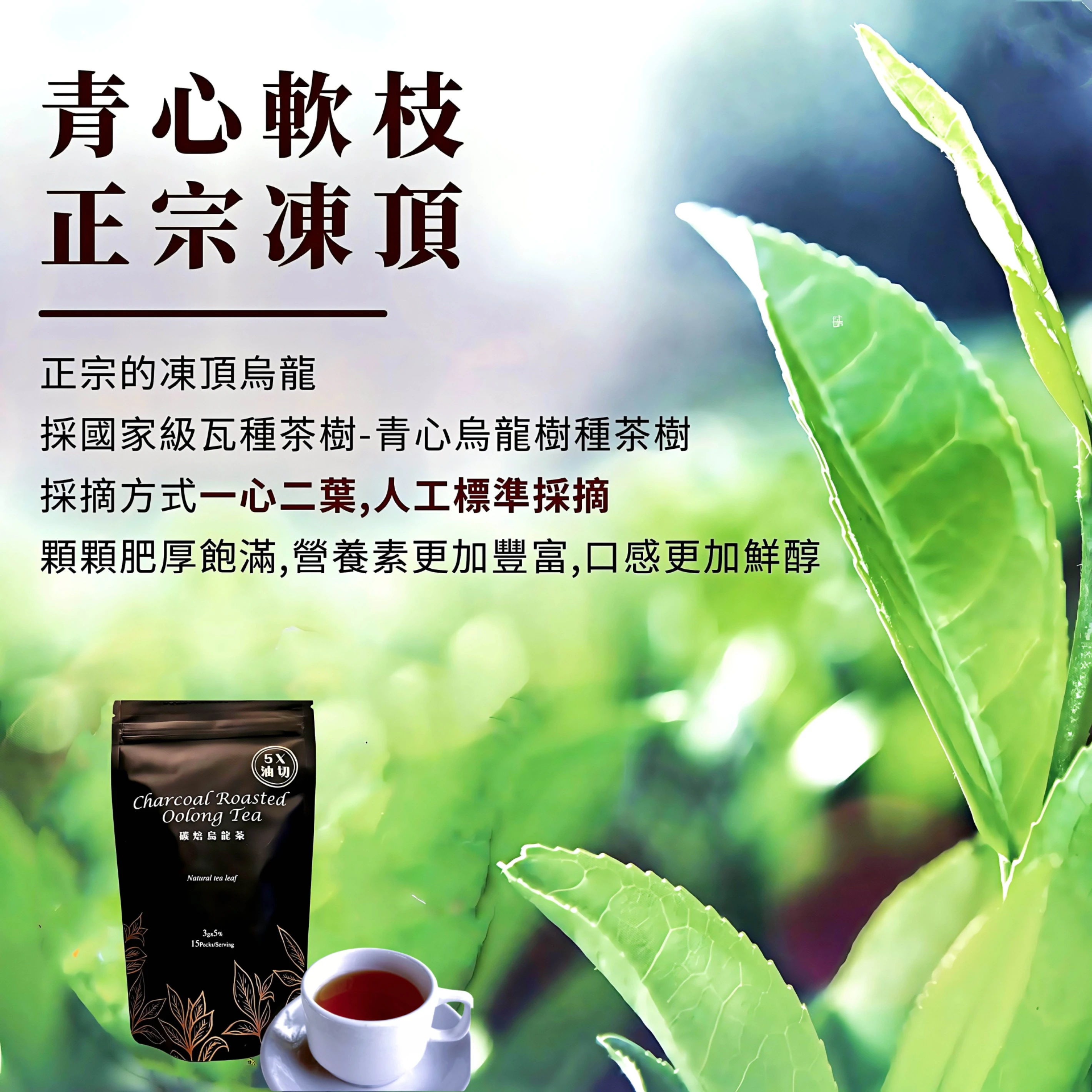 回回甘-碳焙烏龍茶 (3g)15入/袋
