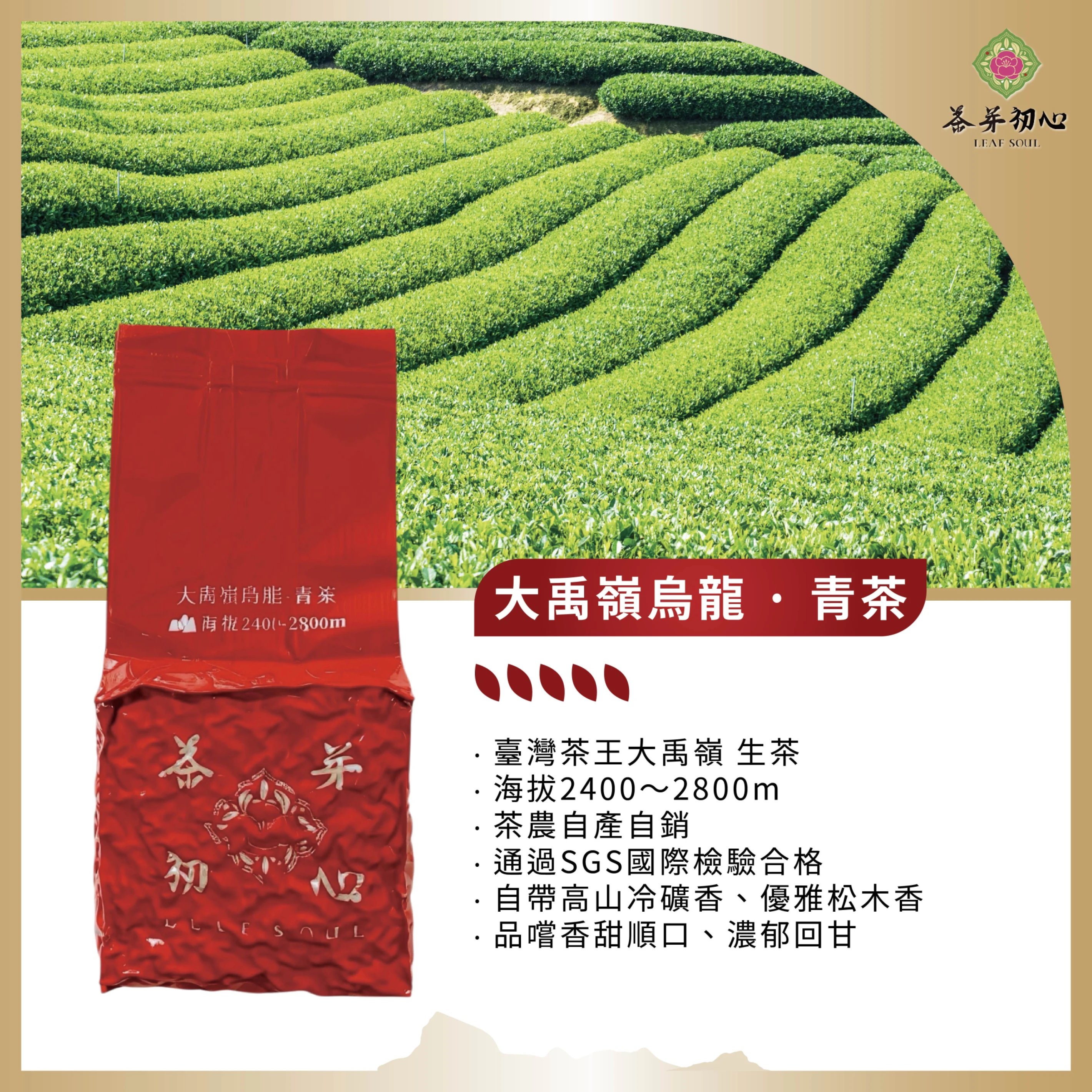 免運費+多入組優惠【茶芽初心】臺灣茶王大禹嶺2400m-2800m 產地福利價