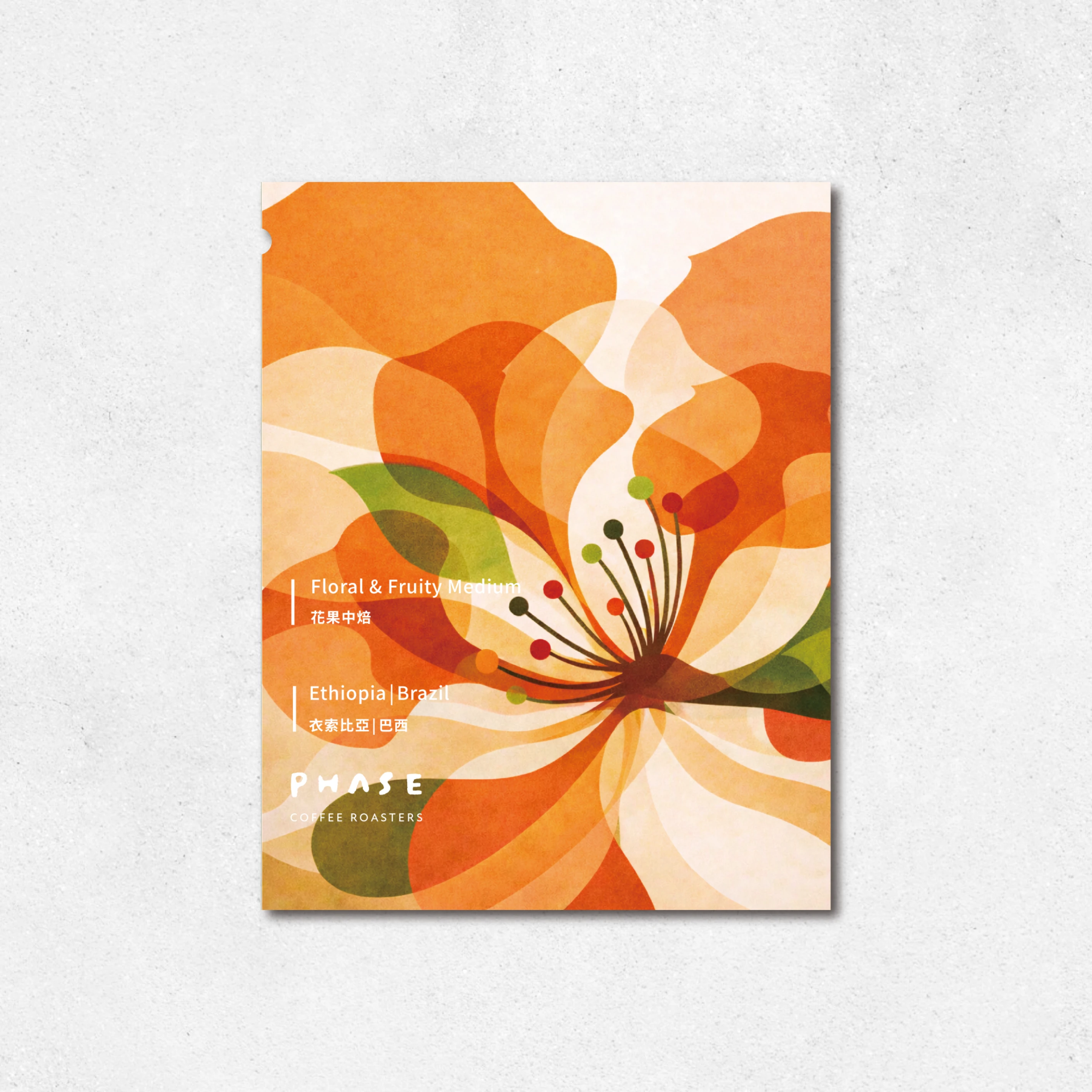 (濾掛) 花果中焙 Floral & Fruity Medium