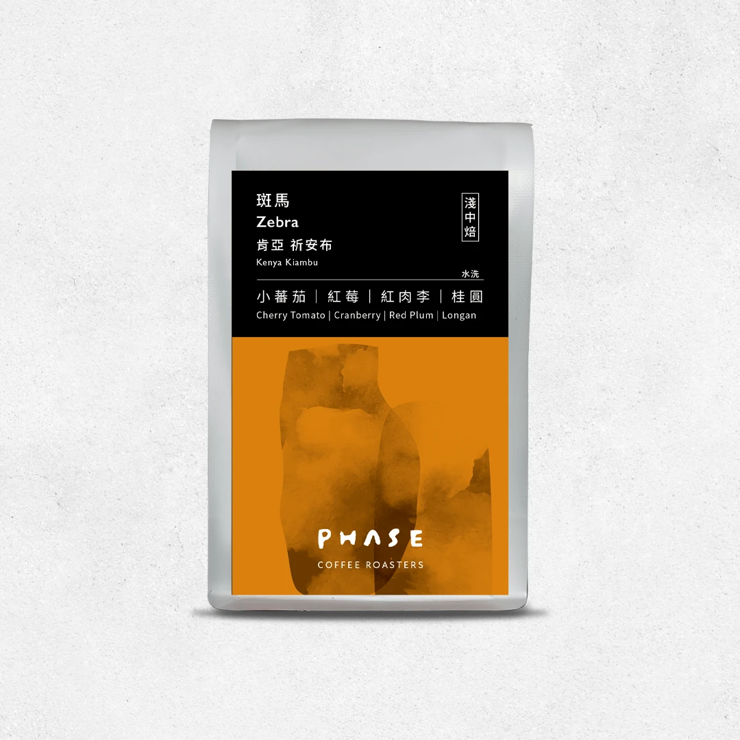 肯亞 斑馬 Zebra