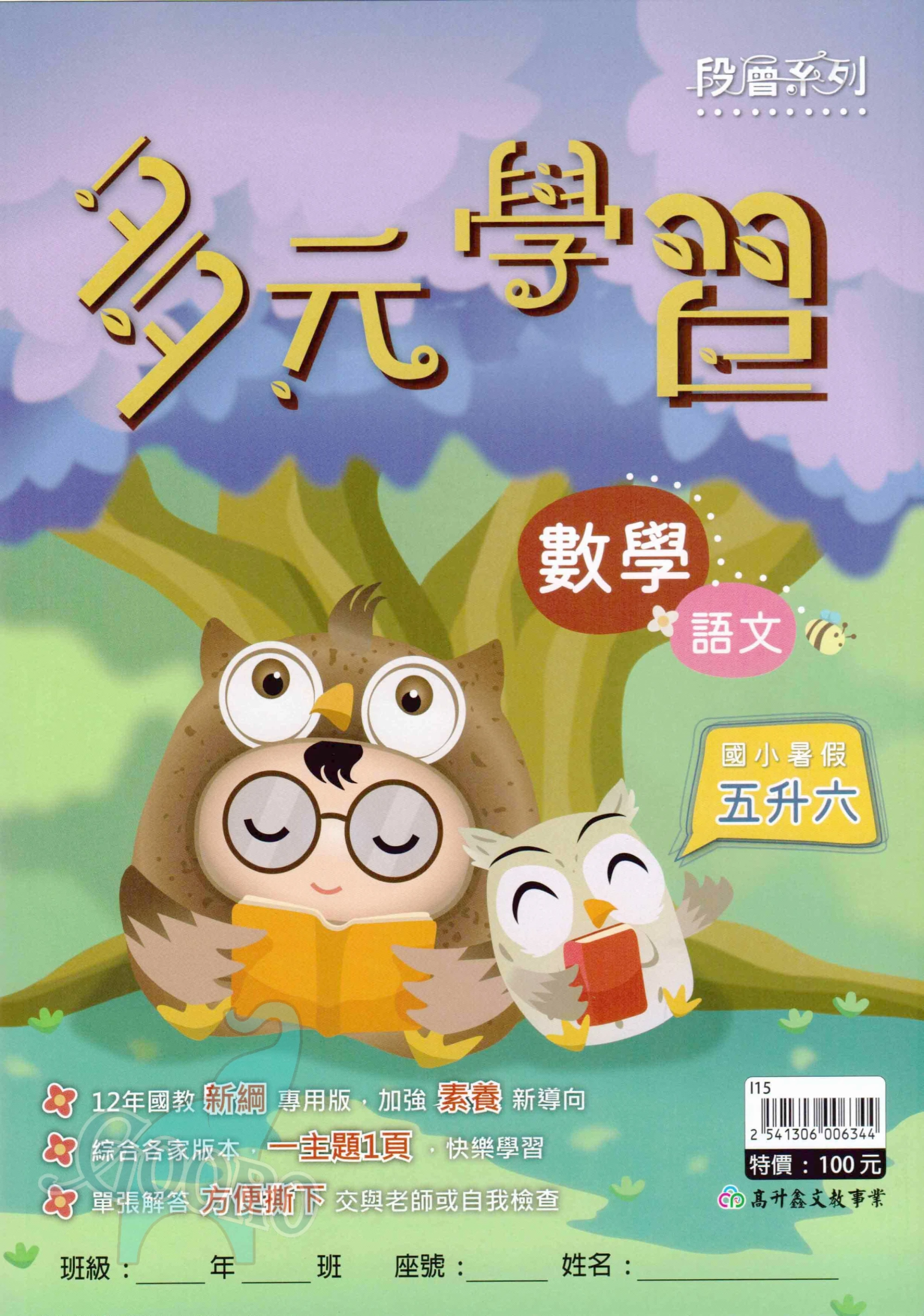 高升鑫-多元學習｜暑假作業｜跨領域複習×素養力養成