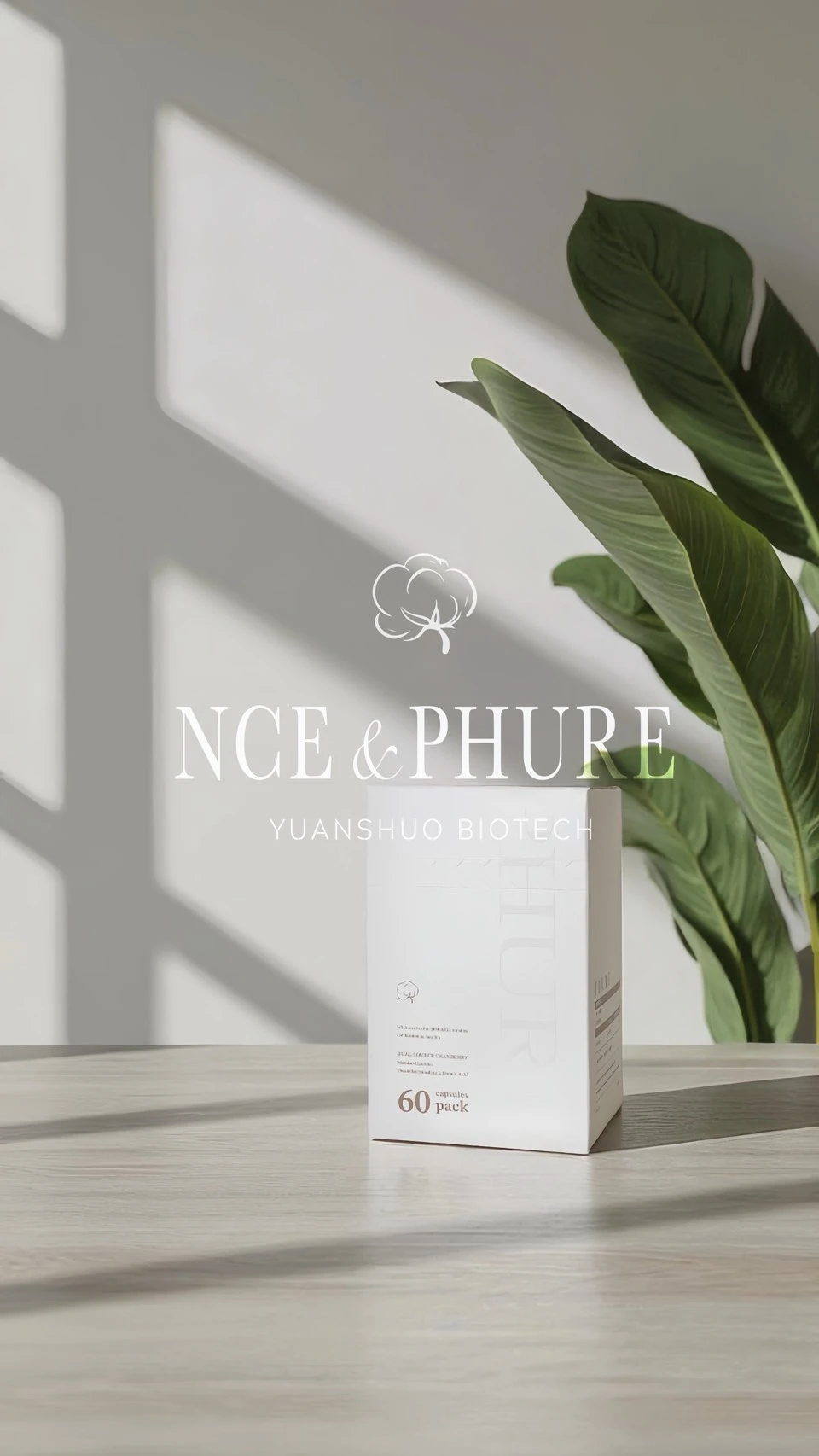 Phure安淨（私密處平衡）