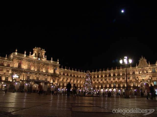 西班牙 Salamanca｜Delibes 語言學校