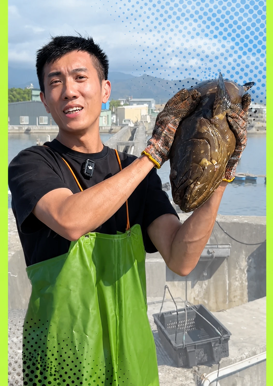 龍虎斑是什麼？珍珠龍膽、龍膽、老虎斑差在哪一次看懂