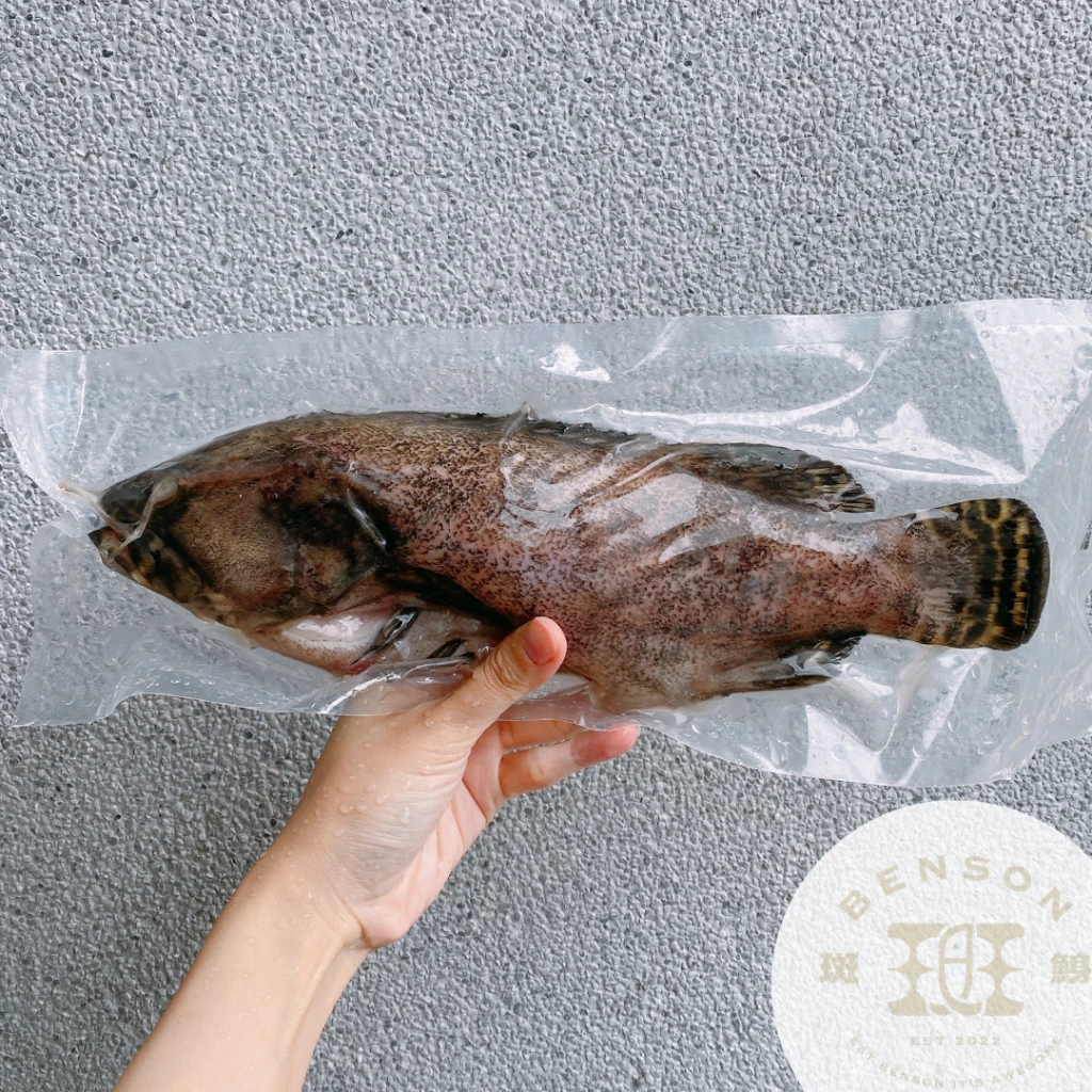 斑鯓自產－益生菌珍珠龍虎石斑三去