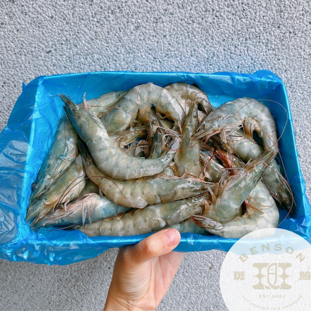 鮮凍生白蝦（進口）