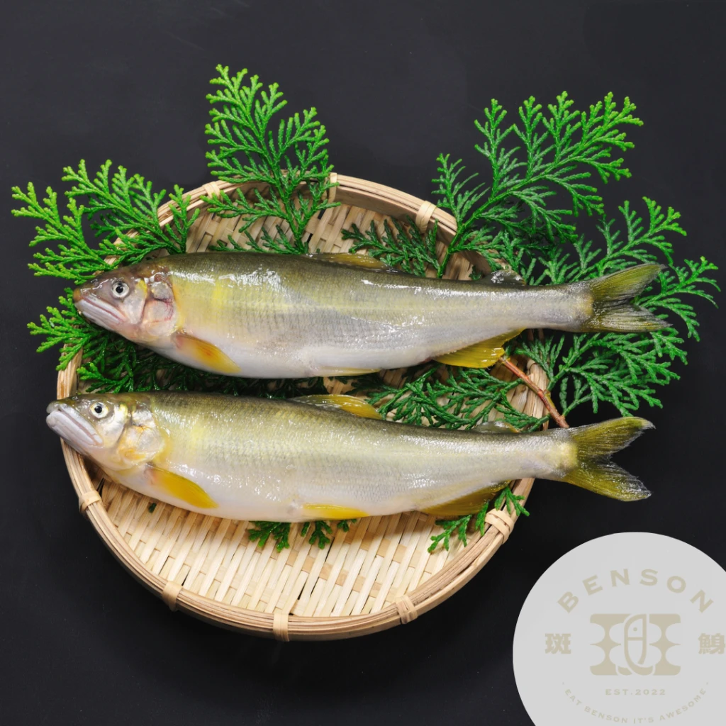 宜蘭爆卵頂級母香魚