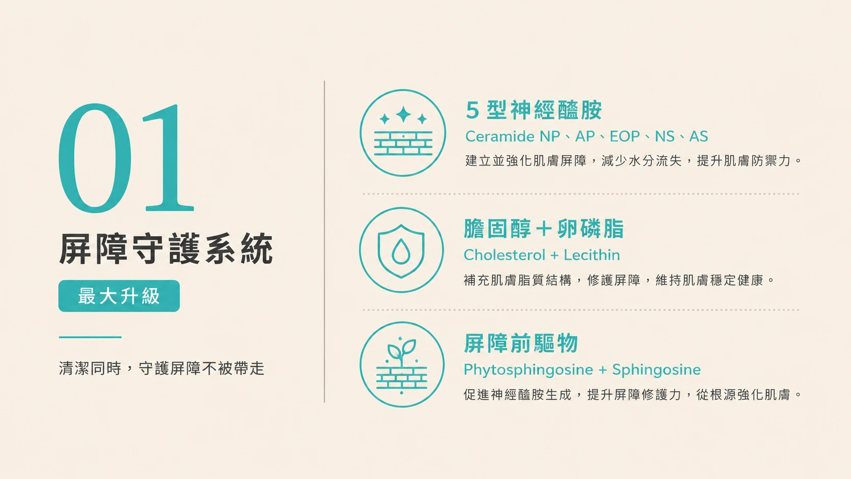 胺基酸潔膚霜 5 型神經醯胺、膽固醇、卵磷脂與屏障前驅物升級