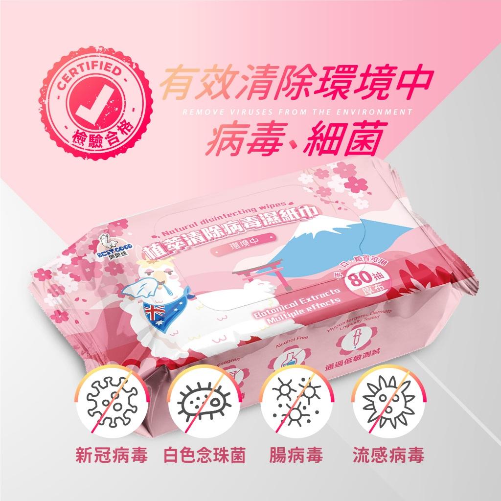 植萃抗病毒濕紙巾 新冠 流感 腸病毒 濕紙巾 台灣製造 嬰兒濕巾 附蓋濕紙巾 加厚濕紙巾 厚布濕紙巾 柔濕巾 溼紙巾