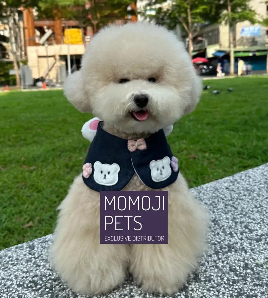 MOMOJI 為來自香港的寵物品牌，以獨具質感的寵物領巾系列為主打商品，專為大小型犬與貓咪設計多種尺寸，讓不同體型的毛孩都能舒適配戴。品牌在布料選用與設計美感上別具特色，跳脫市面常見風格，結合細膩剪裁與時尚配色，打造兼具實用性與造型感的寵物配件。從日常穿搭到特別場合，MOMOJI 希望讓每位毛孩都能展現獨特魅力與生活品味。