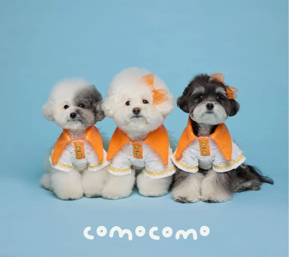 【COMOCOMO】SSOMI 夏季大領T恤