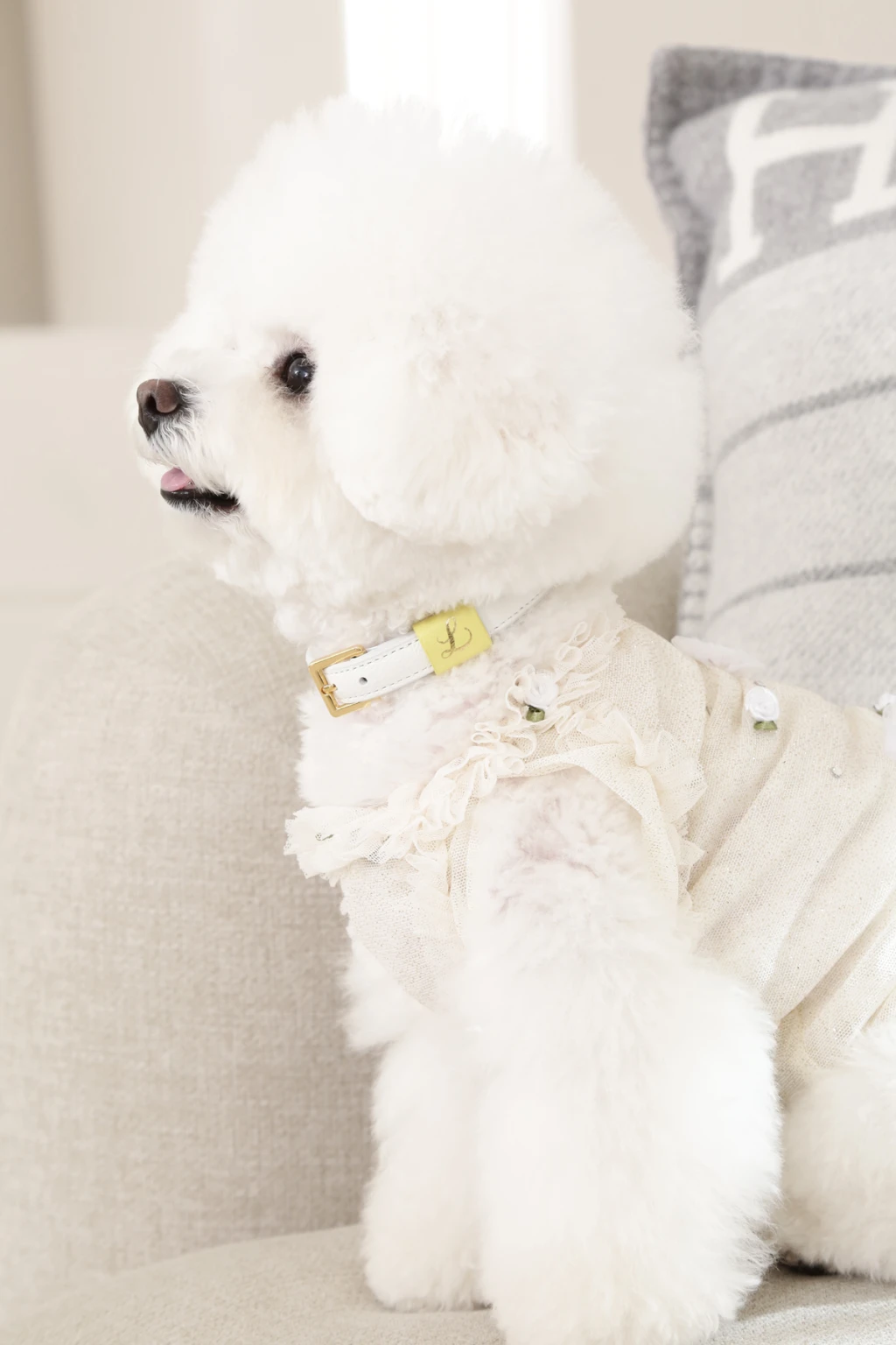 韓國Lili Pouent 手工真皮項圈-WHITE ℒ COLLAR