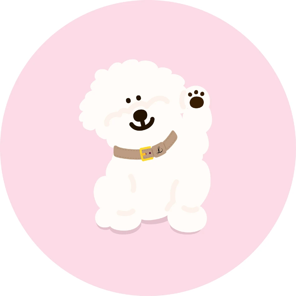 韓國Lili Pouent 手工真皮項圈-大象灰Etoupe