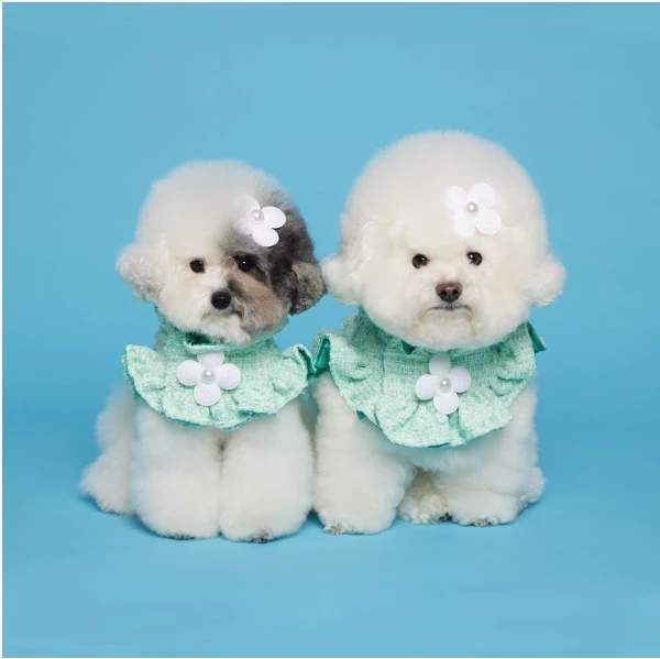 【COMOCOMO】TWEED MINT SPRING  春季粗花呢胸背衣