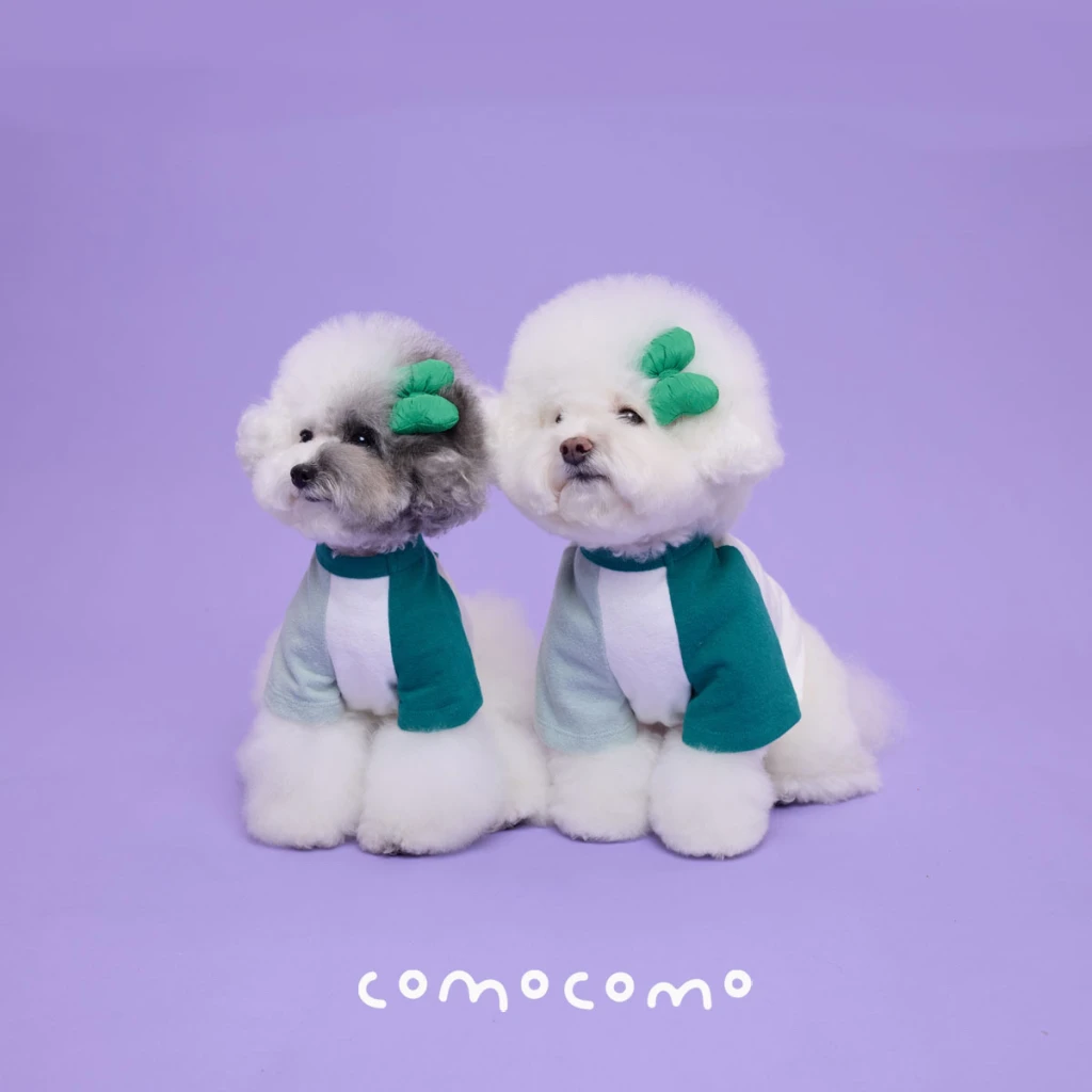 【COMOCOMO】THE GREEN 綠色拼接T恤