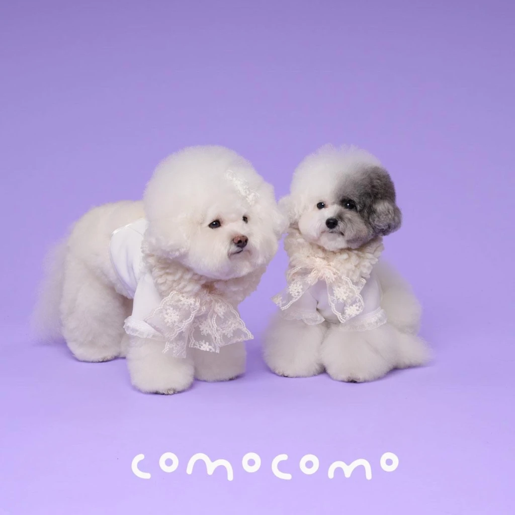 【COMOCOMO】DOROTHY 純白蕾絲上衣
