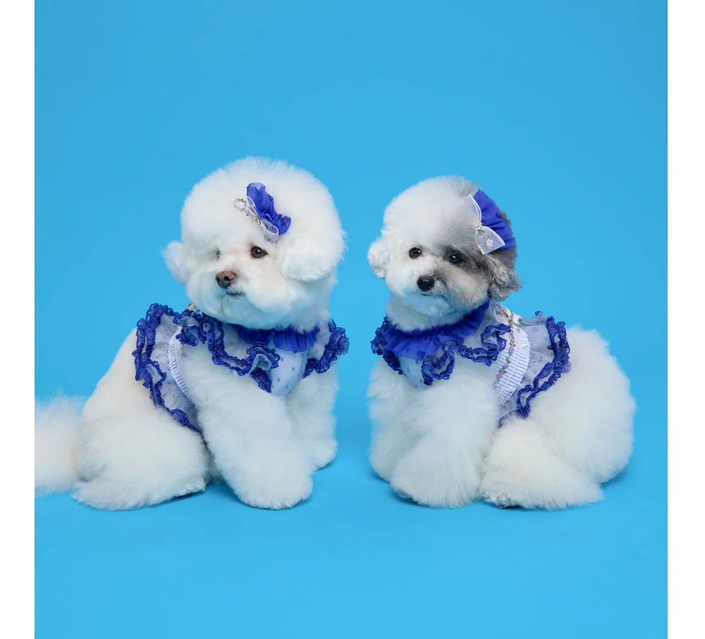 【COMOCOMO】Forgarden Blue 藍色網眼胸背衣
