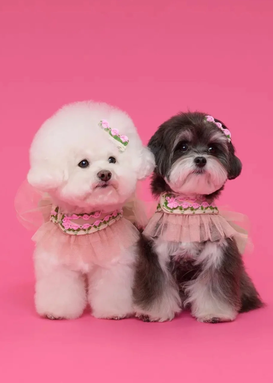 【COMOCOMO】 Rose tiara harness 花卉刺繡胸背衣