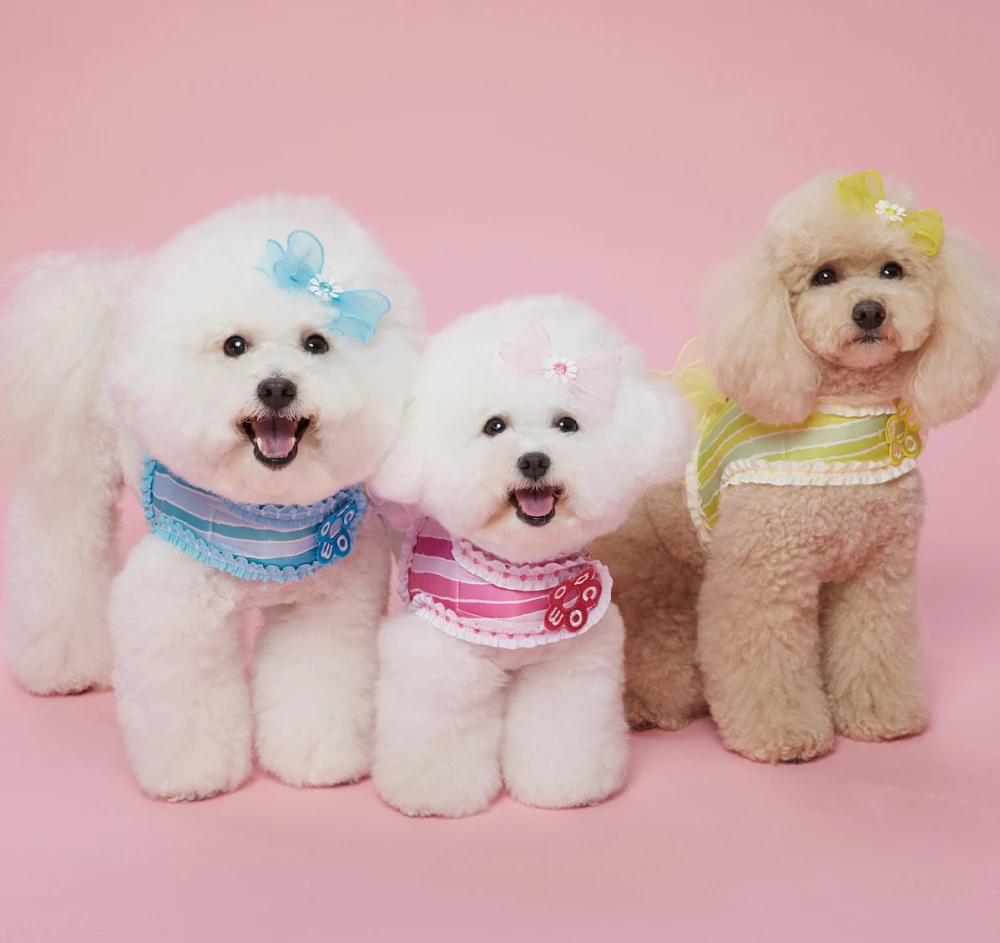 【COMOCOMO】MIGAL RIBBON HARNESS-3Color