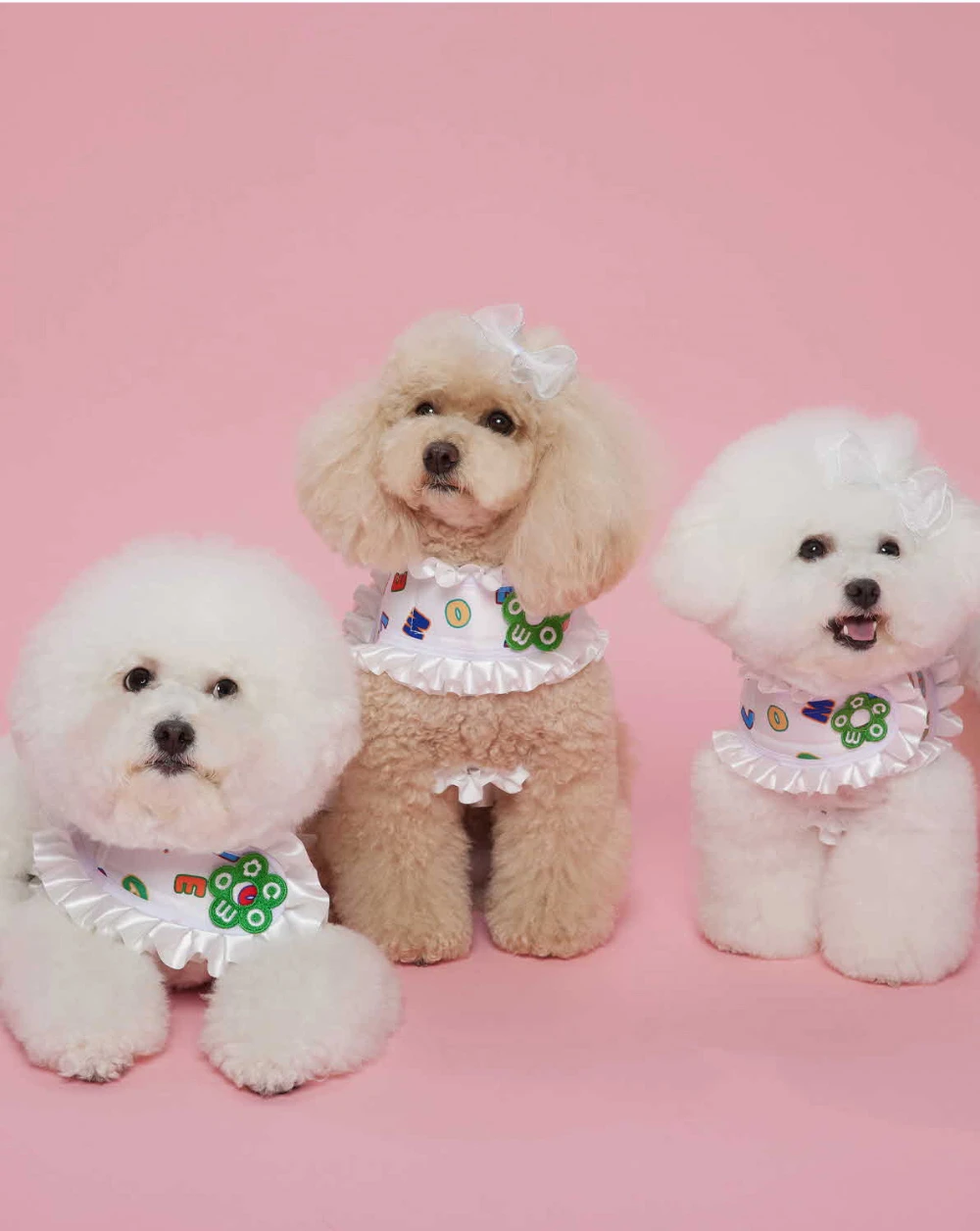 【COMOCOMO】 ANGEL HARNESS WEAR