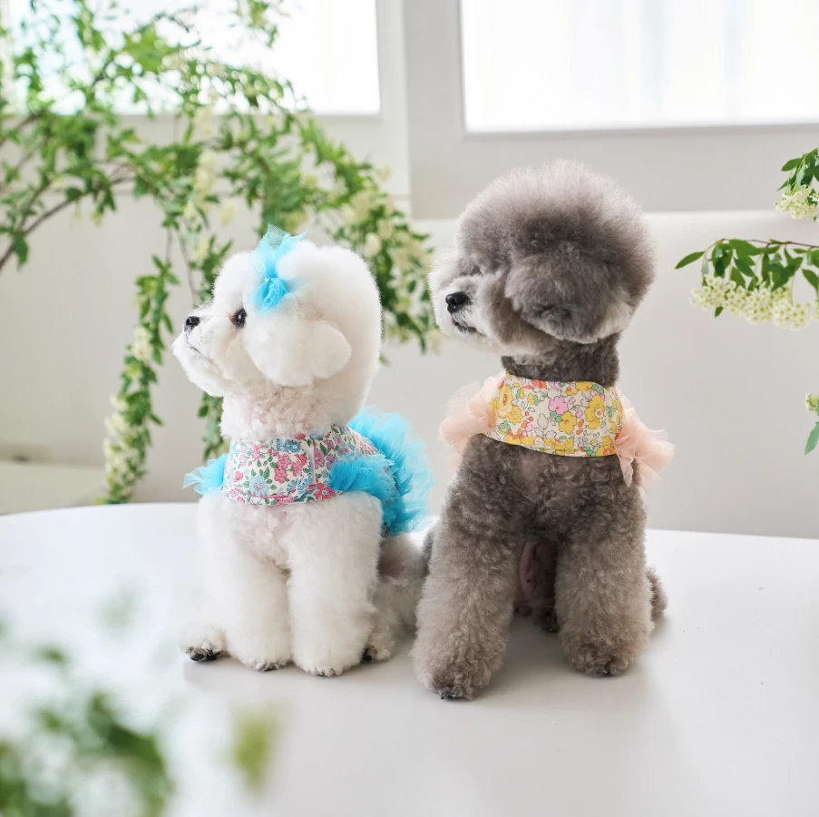 【pawfect.seoul】經典碎花胸背衣