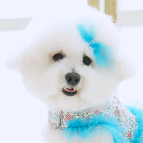 【pawfect.seoul】藍色髮夾