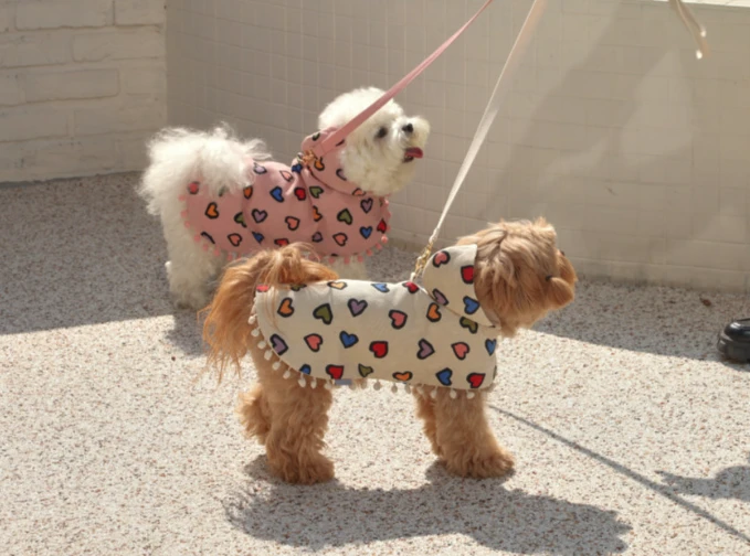 【Pet the Dog】 愛心胸背斗篷