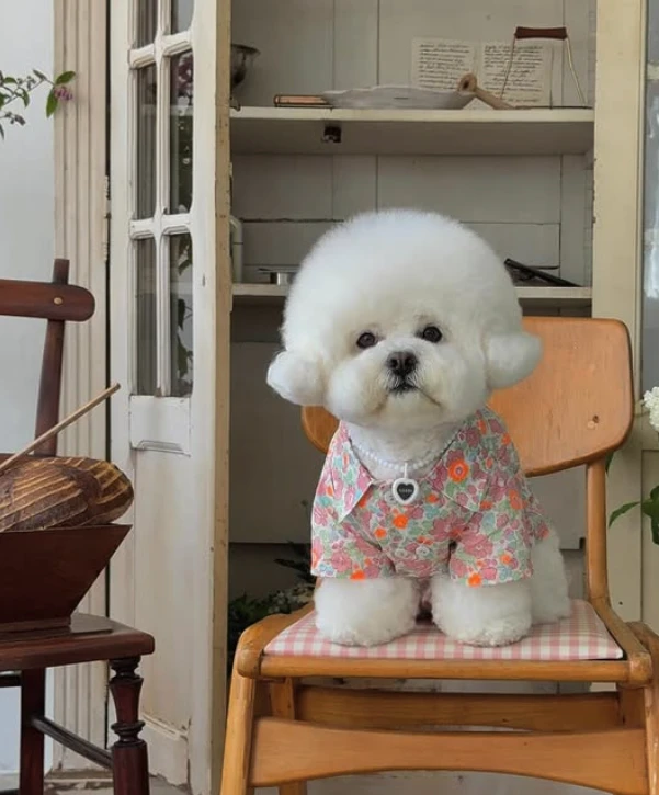 【SUERTE PERRO】Liberty Betsy雙排扣花襯衫-2 Color