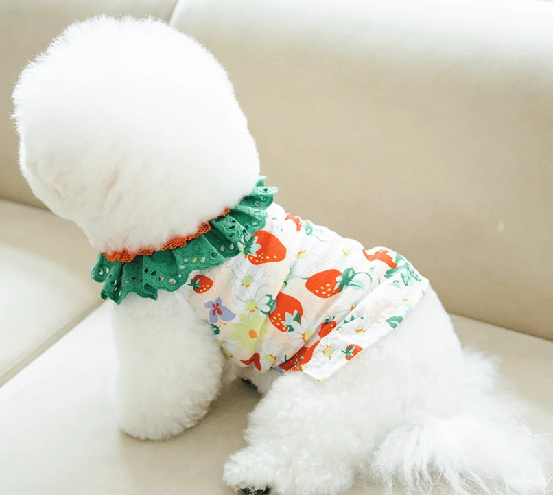 【DESIGN FOR DOG】荷葉邊草莓上衣