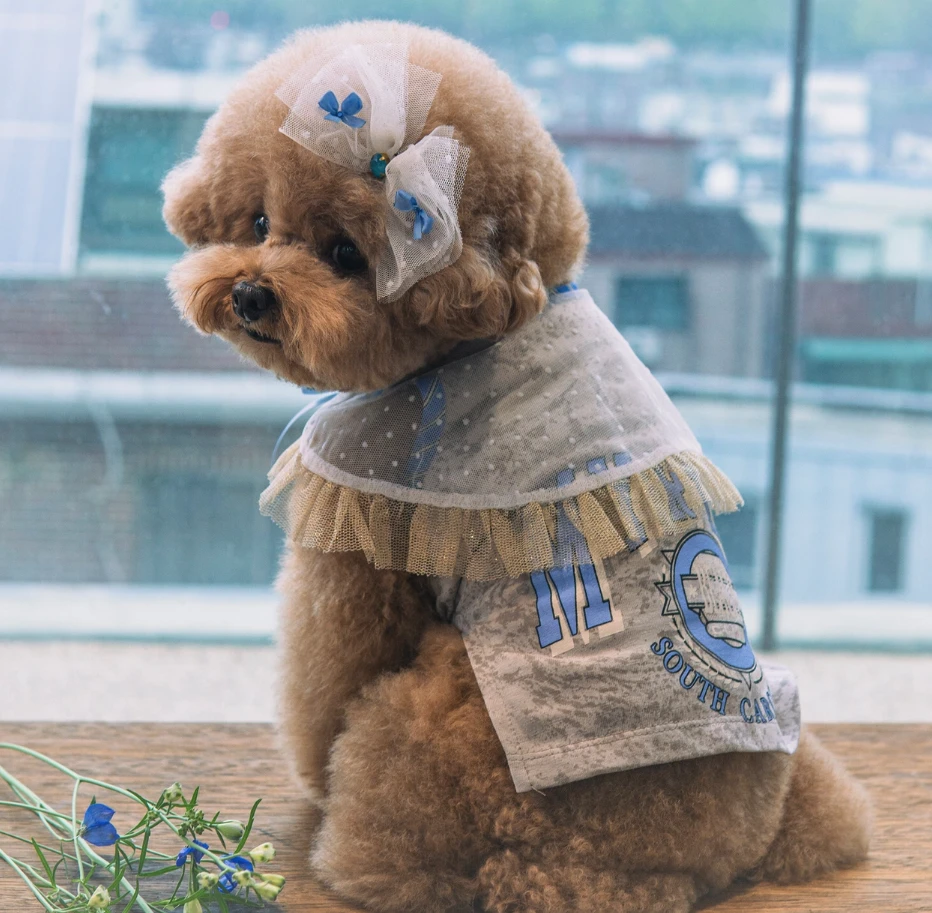 【DESIGN FOR DOG】墨爾本海灘T恤