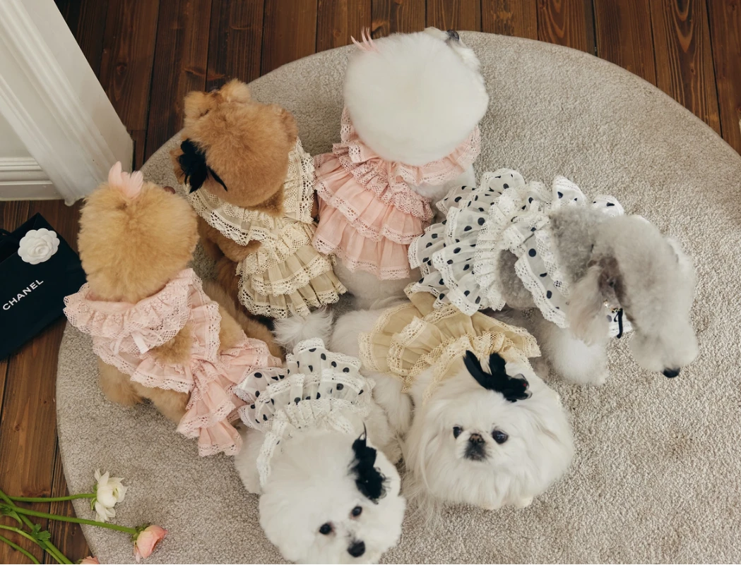 【Design For Dog】Anju連身裙