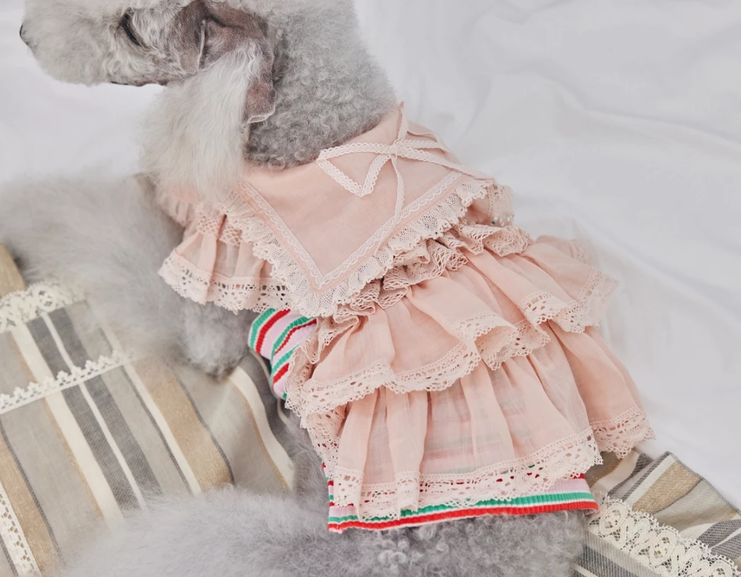 【Design For Dog】Anju連身裙