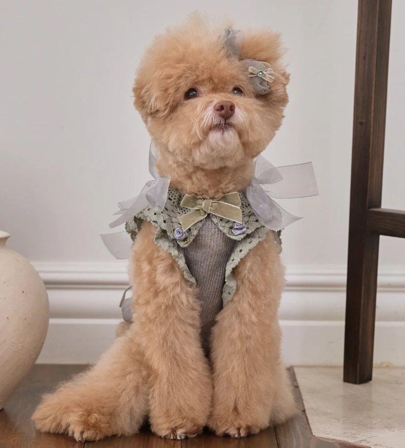 【Design For Dog】吉賽兒針織衫