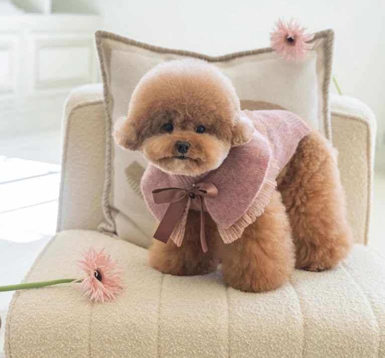 【Design For Dog】羊絨復古套頭衫