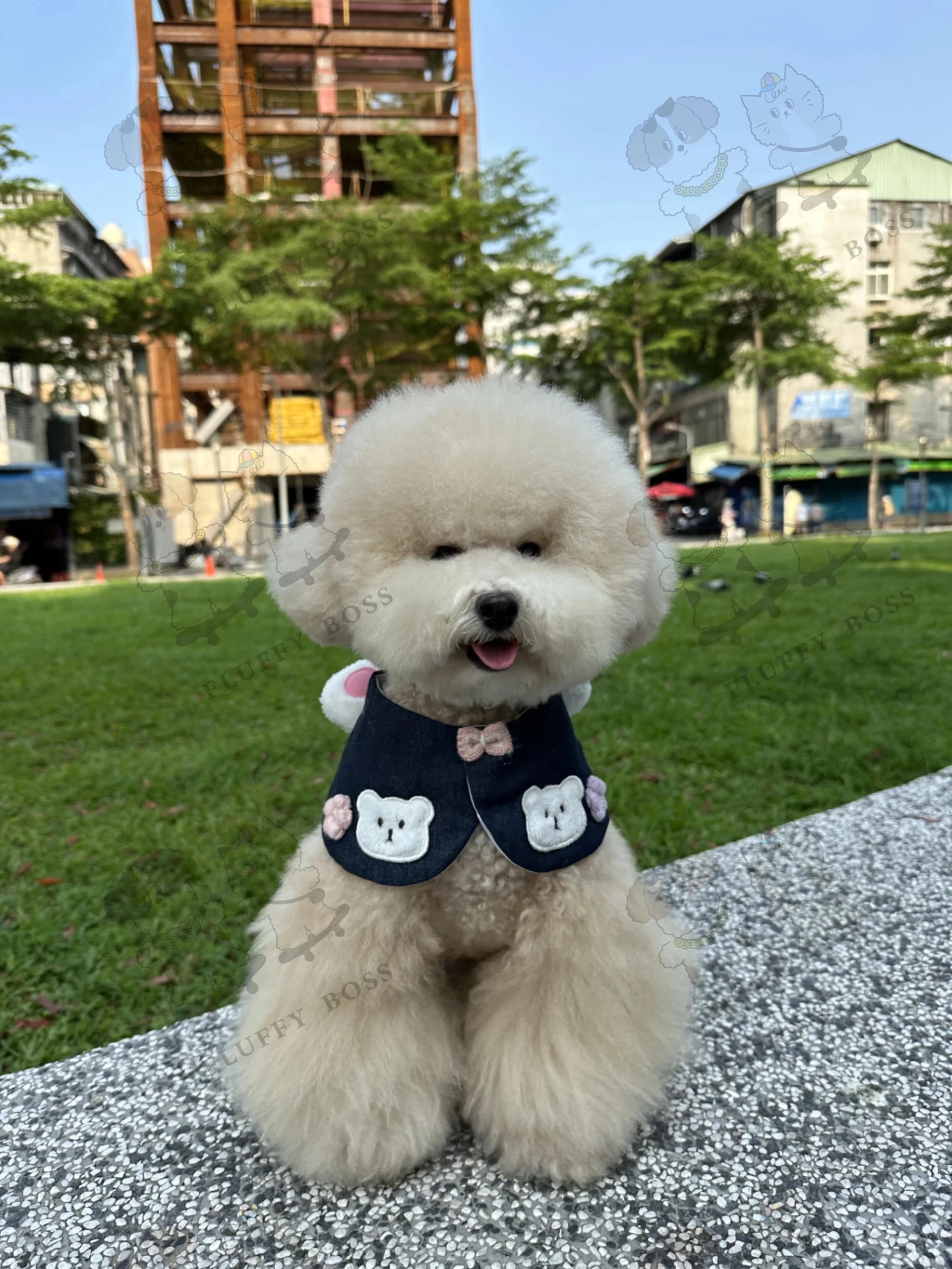 【Momoji】台灣限定領巾 Laffy Bear