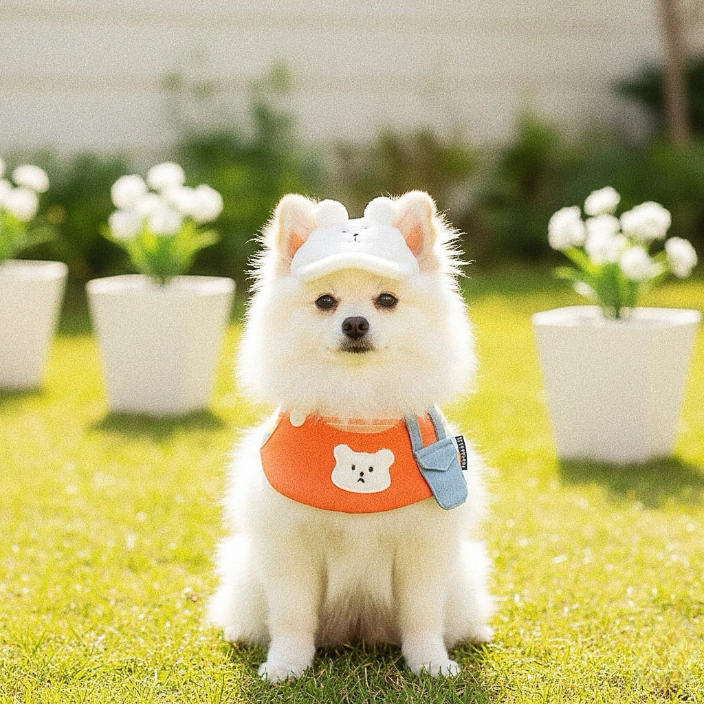 【MOMOJI】寵物帽 | Bear Kennedy 絨毛小熊帽
